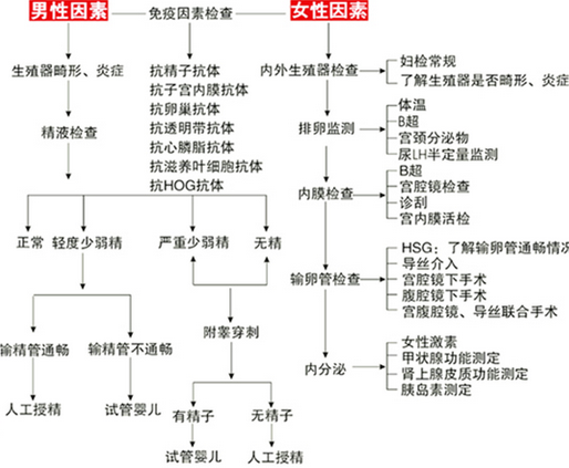 2025深圳第三代试管婴儿的花费：价格真的高吗？