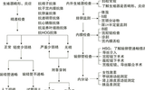 2025深圳第三代试管婴儿的花费：价格真的高吗？