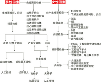 2025深圳第三代试管婴儿的花费：价格真的高吗？